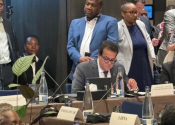 وزير الصحة يؤكد رغبة مصر في التعاون مع الاتحاد الإفريقي ومراكز مكافحة الأمراض الأفريقية