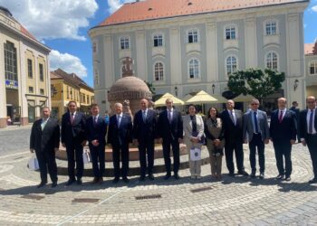 النائبة مرثا محروس تشارك في وفد البرلمان المصري لزيارة “المجر”