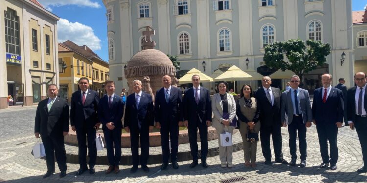 النائبة مرثا محروس تشارك في وفد البرلمان المصري لزيارة “المجر”