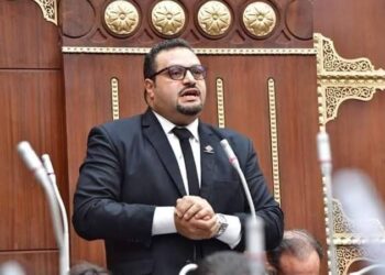 برلماني يؤكد أهمية التصنيع الزراعي: يحقق ٢٠ ضعفًا من إيرادات التصدير الحاصلات الزراعية في صورة منتجات مصنعة