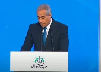 حسن شحاتة وزير العمل