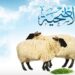 تعرف على شروط الأضحية الصحيحة المناسبة للذبح في عيد الأضحى