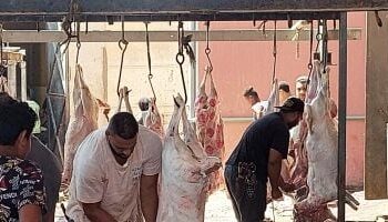 عيد الأضحى 2024.. 10 آلاف جنيها عقوبة ذبح الأضاحي في الشارع