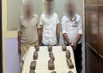 ضبط 12 كيلو جرام من مخدر الأفيون بحوزة عناصر إجرامية في الإسكندرية