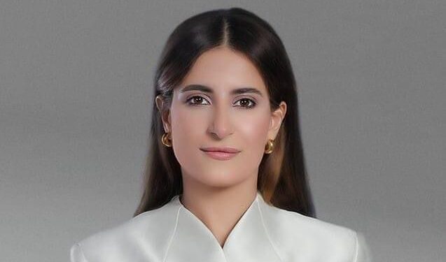 خارجية النواب: لقاء الرئيس السيسي وجراهام يؤكد دور مصر المحوري في حل أزمة غزة