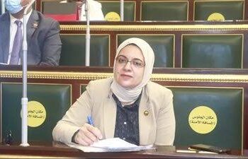 سقوط 40 حالة وفاة.. نائبة تطالب يوقف تخفيف الأحمال في أسوان