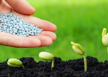 هل يتم رفع الدعم عن الأسمدة الزراعية الموسم المقبل؟