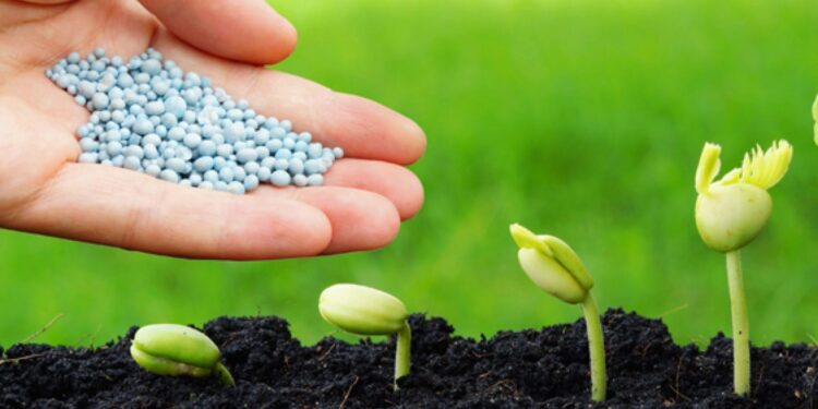 هل يتم رفع الدعم عن الأسمدة الزراعية الموسم المقبل؟