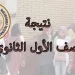 نتيجة الصف الأول الثانوي الآن في جميع المحافظات.. إليكم رابط وخطوات الاستعلام