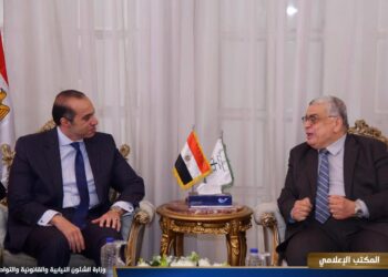 لتعزيز التعاون.. وزير الشئون النيابية يلتقي رئيس مجلس الدولة