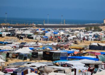 بالتعاون مع الصحة العالمية.. تنفيذ إجلاء طبي عاجل لـ 148 فلسطينياً إلى أبوظبي