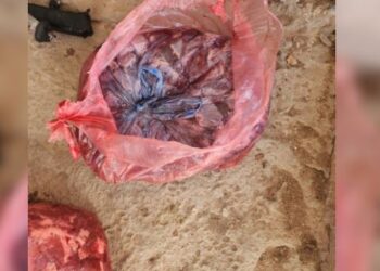 تفاصيل ضبط لحوم مجهولة المصددر في حفر الباطن