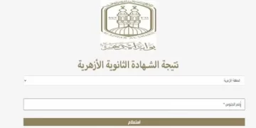 ظهرت الآن.. نتيجة الثانوية الأزهرية 2024