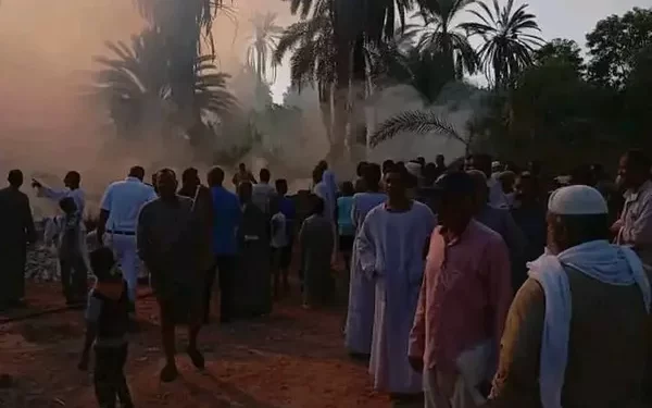 اتلف طن من علف المواشي.. حريق هائل في حوش به عدد من أشجار النخيل في الأقصر