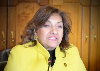 النائبة ايفلين متى: الدعم العيني يضمن وصوله إلى مستحقيه بشرط