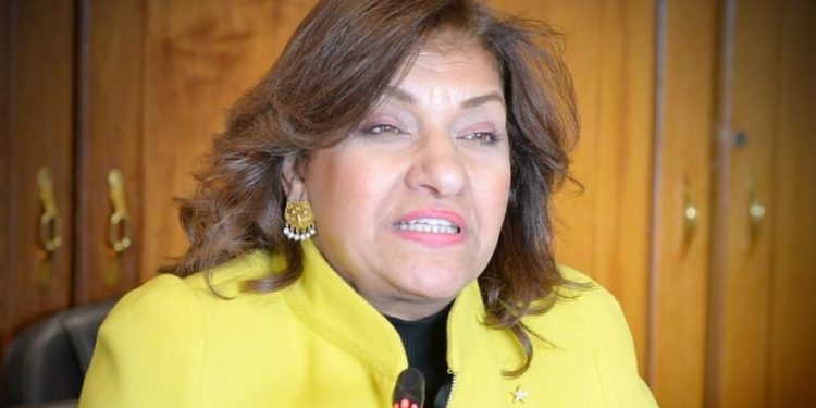 النائبة ايفلين متى: الدعم العيني يضمن وصوله إلى مستحقيه بشرط