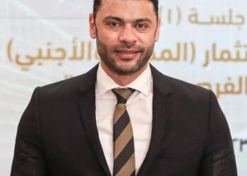 أحمد حلمي: مشاورات الرئيس السيسي مع أردوغان تساهم في تعزيز السلام والاستقرار في المنطقة