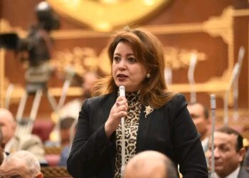 النائبة سماء سليمان: زيارة رئيس ألمانيا لتعزيز جهود مفاوضات السلام والأمن والاستقرار الدولي