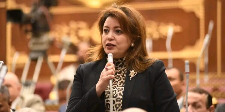 النائبة سماء سليمان: زيارة رئيس ألمانيا لتعزيز جهود مفاوضات السلام والأمن والاستقرار الدولي