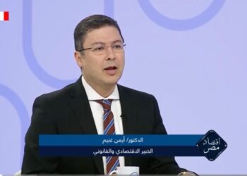 خبير اقتصادي: زيادة خدمات التقسيط قد لا تكون علامة خير للاقتصاد المصري