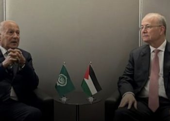 أبو الغيط يؤكد دعم جامعة الدول العربية الكامل للمساعي الفلسطينية