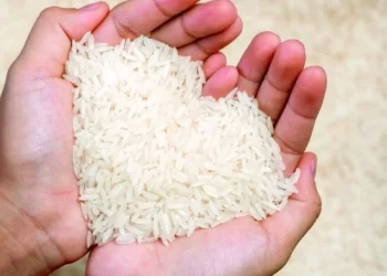 سعر الأرز يتجاوز الـ 40 جنيها اليوم الأربعاء 25 سبتمبر 2024