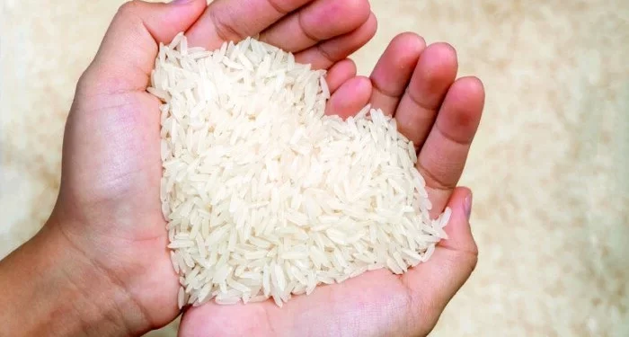 سعر الأرز يتجاوز الـ 40 جنيها اليوم الأربعاء 25 سبتمبر 2024