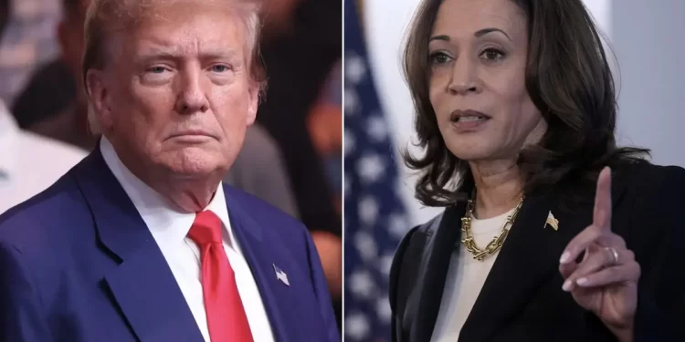 الانتخابات الأمريكية.. الأمريكيون ينتظرون مباراة مناظرة ترامب وهاريس