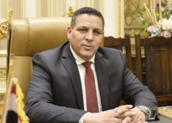 أحمد محسن: كلمة الرئيس بقمة البريكس داعية لدعم تمويل الدول النامية