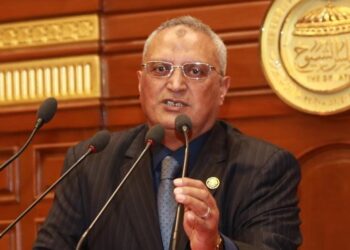 عبد أبو عايشة: كلمة الرئيس بقمة البريكس تعزز التزام مصر بواجباتها تجاه دعم الدول النامية لتواكب التحديات المتفاقمة