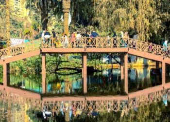 تحالف تطوير حديقتي الأورمان والحيوان بالجيزة: تهذيب وتقليم الأشجار وصندقة جزء منها لحين انتهاء أعمال التطوير