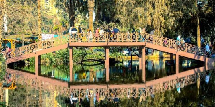 تحالف تطوير حديقتي الأورمان والحيوان بالجيزة: تهذيب وتقليم الأشجار وصندقة جزء منها لحين انتهاء أعمال التطوير