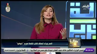كيف تسلق كلب الهرم القمة؟.. استشاري طب بيطري يوضح