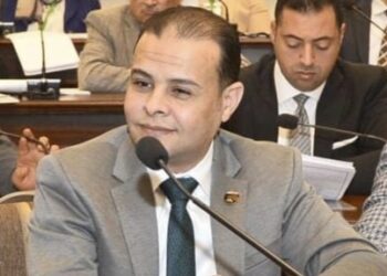 مدحت الكمار: كلمة الرئيس بمنتدى تجمع البريكس تؤكد رؤية مصر الاقتصادية