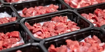 أسعار اللحوم في مصر اليوم الجمعة 25 أكتوبر 2024 بمحلات الجزارة