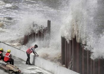إعصار دانا يُغلق المدارس في ولاية أوديشا شرق الهند بعد قلع الأشجار وقطع خطوط الطاقة
