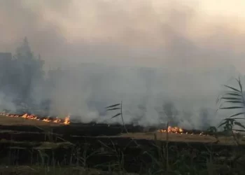 التفاصيل الكاملة لحملة جهاز البيئة لمواجهة السحابة السوداء