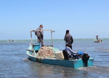 ما حقيقة بيع بحيرة البردويل في شمال سيناء؟.. متحدث الحكومة يجيب