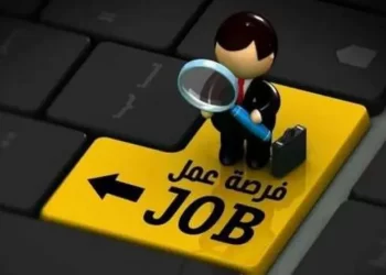 تفاصيل وظائف الجهاز المركزي للتنظيم والإدارة.. نتيجة القبول في وظائف البريد.. والمطلوب لشغل وظيفة في النقل البري!