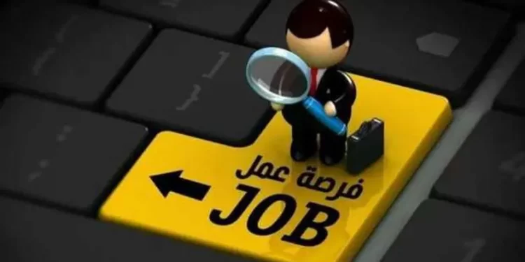 تفاصيل وظائف الجهاز المركزي للتنظيم والإدارة.. نتيجة القبول في وظائف البريد.. والمطلوب لشغل وظيفة في النقل البري!