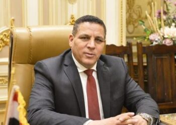 أحمد محسن: الزراعة والصناعة والسياحة والاتصالات قطاعات اقتصادية واعدة ستشهد نموا حقيقيا الفترة القادمة