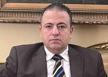 حماة الوطن: رؤية مصر في مجلس الأمن تعكس مواقفها الثابتة ومسؤوليتها الإقليمية