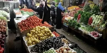 مصر الأولى عالميا في تصدير البرتقال.. تفاصيل