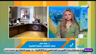 بالمليارات.. هبة نصار تكشف تفاصيل خسائر وأرباح 59 هيئة اقتصادية في مصر