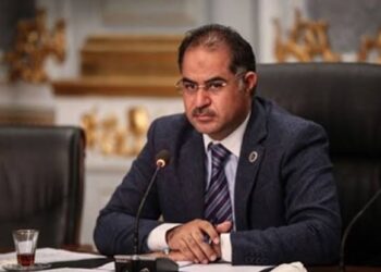 الوفد يفصل النائب سليمان وهدان من جميع تشكيلاته