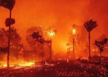 حرائق أمريكا