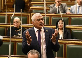 النائب مصطفى بدران: القرار الرئاسي بالعفو عن أبناء سيناء خطوة هامة نحو تعزيز الثقة في الدولة المصرية