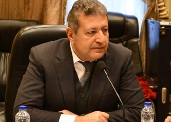 طارق شكري: التوصل لاتفاق بوقف إطلاق النار بغزة انتصار للدبلوماسية المصرية