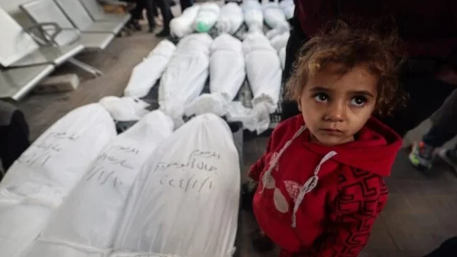45805 شهيدًا و109064 مصابًا حصيلة العدوان الإسرائيلي على غزة منذ 7 أكتوبر 2023