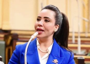 نائبة التنسيقية تتقدم بمشروع قانون بتعديل بعض أحكام قانون الضريبة على الدخل 